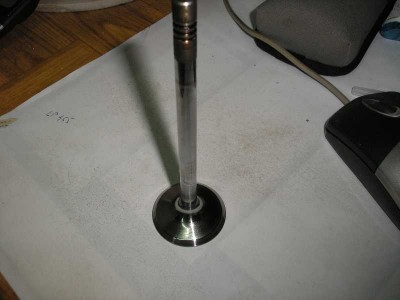 discP3262392.jpg