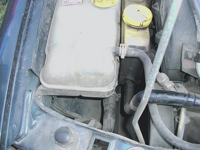tn_DSCI3445.JPG