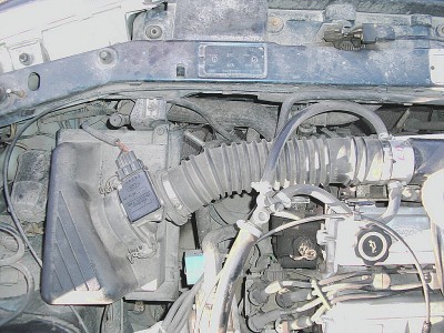 tn_DSCI3439.JPG
