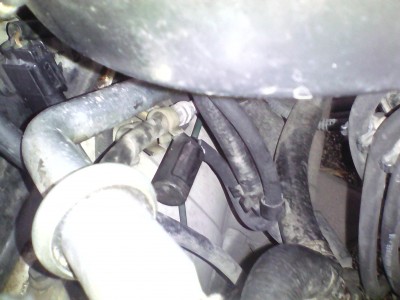 IMG_20171118_121028.jpg (1.35 MБ) Видяна 11831 пъти IMG_20171118_121028.jpg