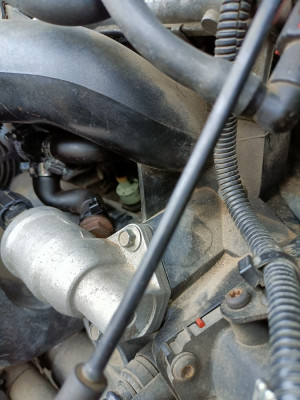 IMG20251205122911 (Copy).jpg