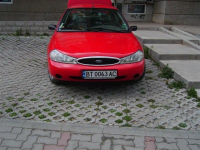 IMGP3432 (Medium).JPG