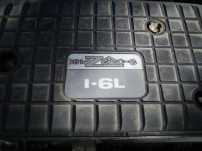 IMGP3698 (Medium).JPG