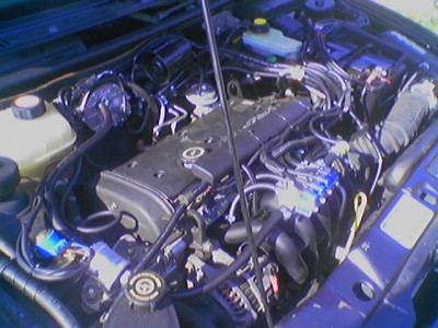 070616_093653.jpg (62.09 KБ) Видяна 5179 пъти 070616_093653.jpg