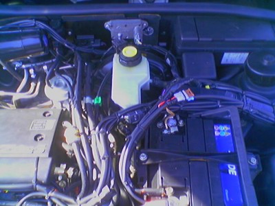 070616_093629.jpg (53.46 KБ) Видяна 5091 пъти 070616_093629.jpg