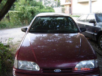 Picture 304.jpg