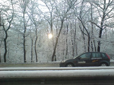 DSC00011.jpg