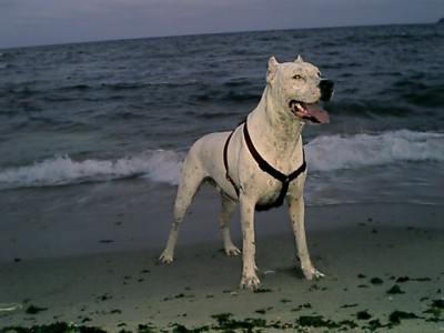 index.php.jpg (73.83 KБ) Видяна 6720 пъти index.php.jpg