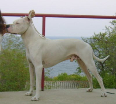 index.php.jpg (60.76 KБ) Видяна 6727 пъти index.php.jpg