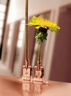 1136870274_connectors_sc_.jpg (36.16 KБ) Видяна 13857 пъти 1136870274_connectors_sc_.jpg