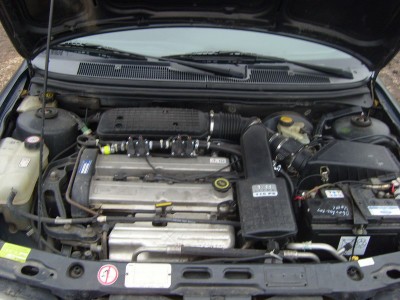 S7000695_resize.JPG
